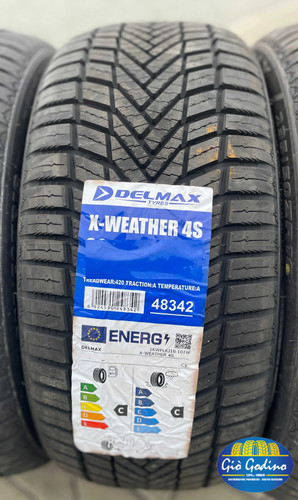 Pneumatico delmax weather - pneumatico, x-weather